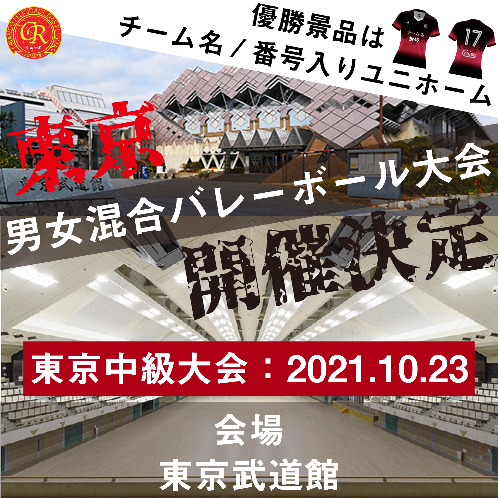 男女混合バレーボール大会を東京で開催 10 23東京武道館で開催