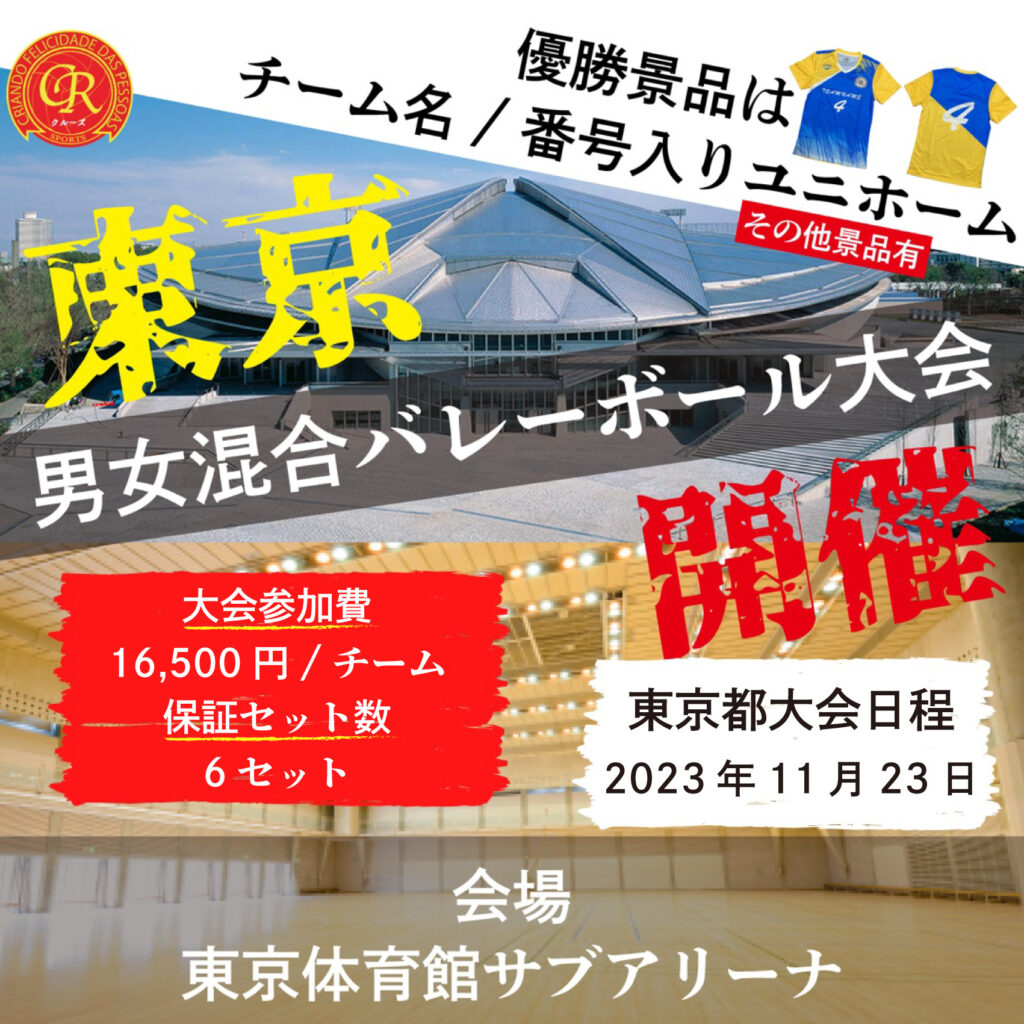 混合バレーボール大会開催