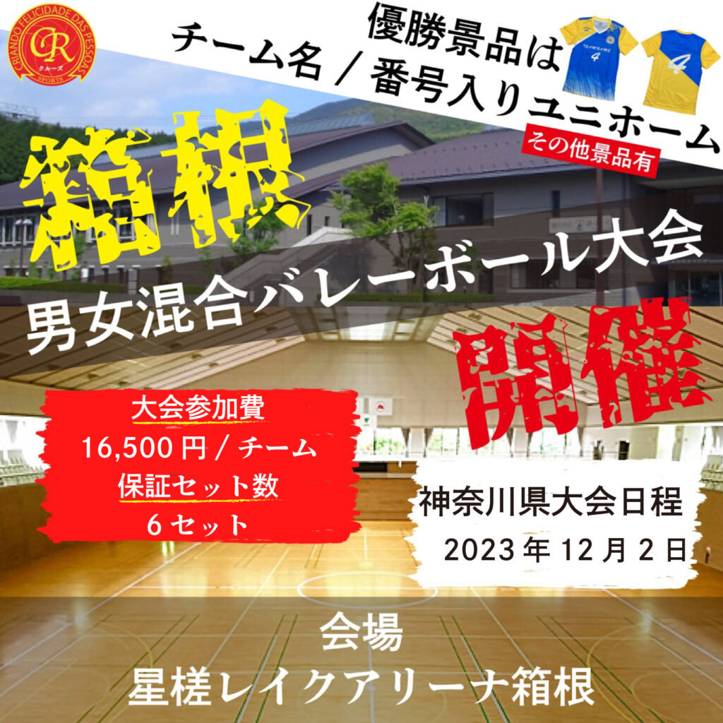 混合バレーボール大会開催