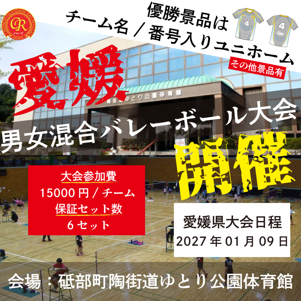 混合バレーボール大会開催